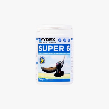 Vydex - Super 6 - 760g (probiotyk z witaminami, elektrolitami i minerałami)